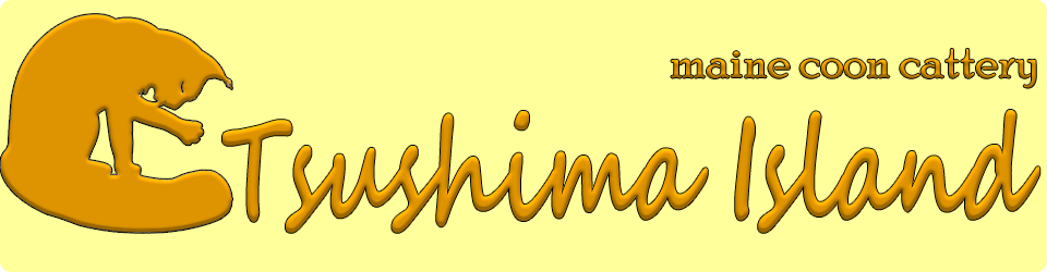 Питомник мейн-кунов TSUSHIMA ISLAND